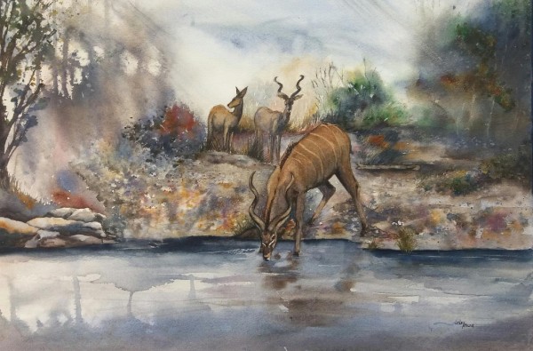 Kudu at the river by Lesley Milne